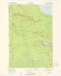 Piatt Lake 1951 topographic map thumbnail