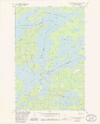 Basswood Lake East 1981 topographic map thumbnail