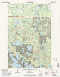 Bigfork 1996 topographic map preview