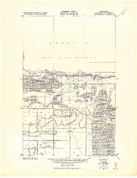 Birchdale 1919 topographic map thumbnail