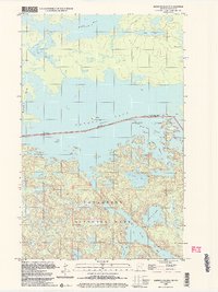 Blind Pig Island 1999 topographic map thumbnail