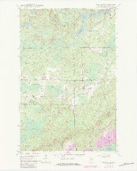 Isaac Lake 1949 topographic map thumbnail