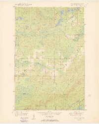 Isaac Lake 1950 topographic map thumbnail