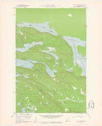 Pine Lake East 1959 topographic map thumbnail