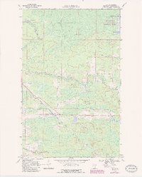 Ray 1969 topographic map preview