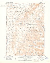 Skunk Lake 1950 topographic map thumbnail