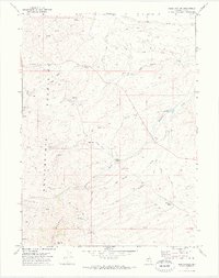 Reed Station 1971 topographic map thumbnail