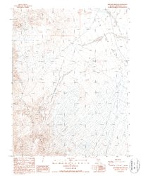 Rhyolite Ridge NE 1987 topographic map thumbnail