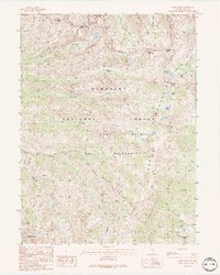 Ruby Dome 1990 topographic map thumbnail