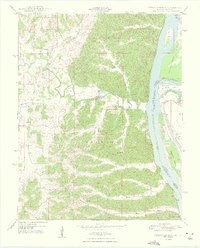 Neelys Landing 1948 topographic map thumbnail