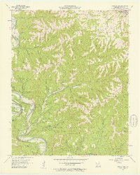 Reeds Spring 1956 topographic map thumbnail