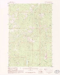 Bison Mountain 1985 topographic map thumbnail