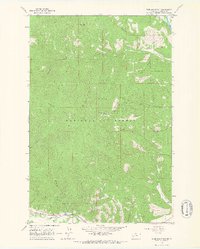 Blue Mountain 1964 topographic map thumbnail