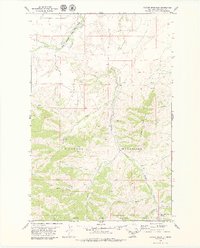 Carter Mountain 1979 topographic map thumbnail