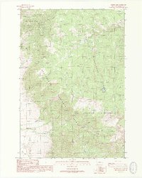 Cherry Lake 1988 topographic map thumbnail