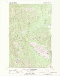 Coney Peak 1989 topographic map thumbnail