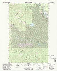 Cyclone Lake 1994 topographic map thumbnail
