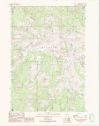 Lincoln Mountain 1988 topographic map thumbnail
