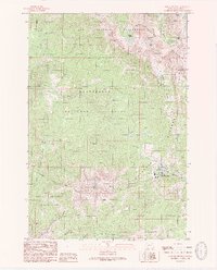 Lone Mountain 1988 topographic map thumbnail