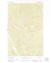 Newton Mountain 1963 topographic map thumbnail