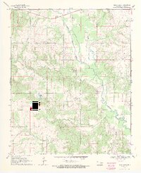 Boggy Depot 1969 topographic map thumbnail