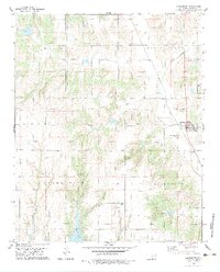 Gracemont 1979 topographic map thumbnail