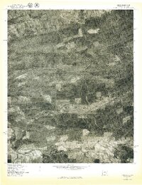 Loving 1977 topographic map preview