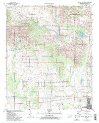 Quanah Mountain 1991 topographic map thumbnail