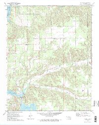 Salina SE 1971 topographic map thumbnail