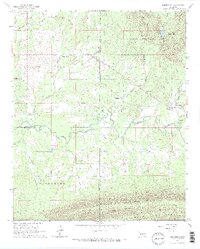 Whitesboro 1966 topographic map thumbnail
