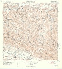 Gurabo 1952 topographic map thumbnail