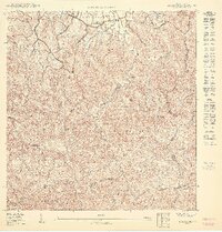 Rincon NE topographic map thumbnail