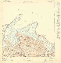 Rio Grande SE topographic map thumbnail