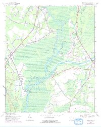 Bucksville 1943 topographic map thumbnail