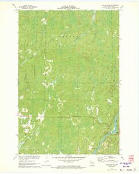 Babbs Island 1971 topographic map preview