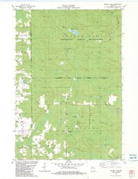 Burney Lake 1982 topographic map thumbnail