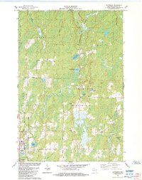 Butternut 1984 topographic map thumbnail
