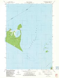 Chambers Island 1982 topographic map thumbnail
