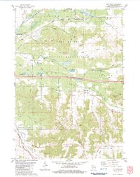 City Rock 1983 topographic map thumbnail