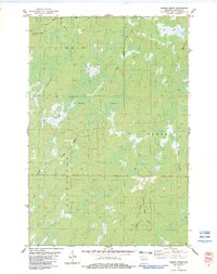Empire Swamp 1983 topographic map thumbnail