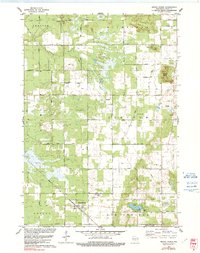 Grand Marsh 1979 topographic map thumbnail