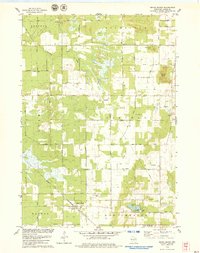 Grand Marsh 1979 topographic map thumbnail