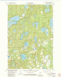 Horseshoe Lake 1982 topographic map thumbnail