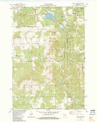 Indian Creek 1982 topographic map thumbnail