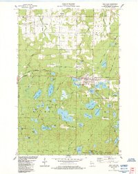 Iron Lake 1984 topographic map thumbnail