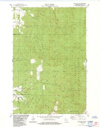 Iron Lake NE 1984 topographic map thumbnail