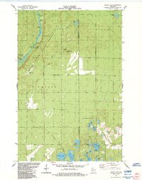 Island Lake 1984 topographic map thumbnail