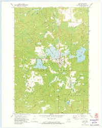 Laona 1972 topographic map preview