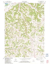 Long Hollow 1983 topographic map thumbnail