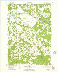 Lyndon Station 1975 topographic map thumbnail